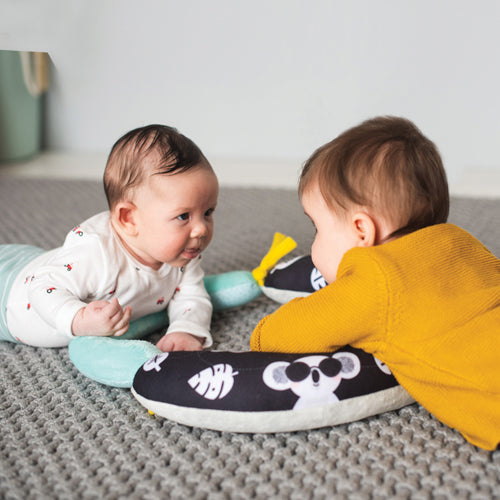 TAF Toys 2 in 1 Tummy Time Pillow
