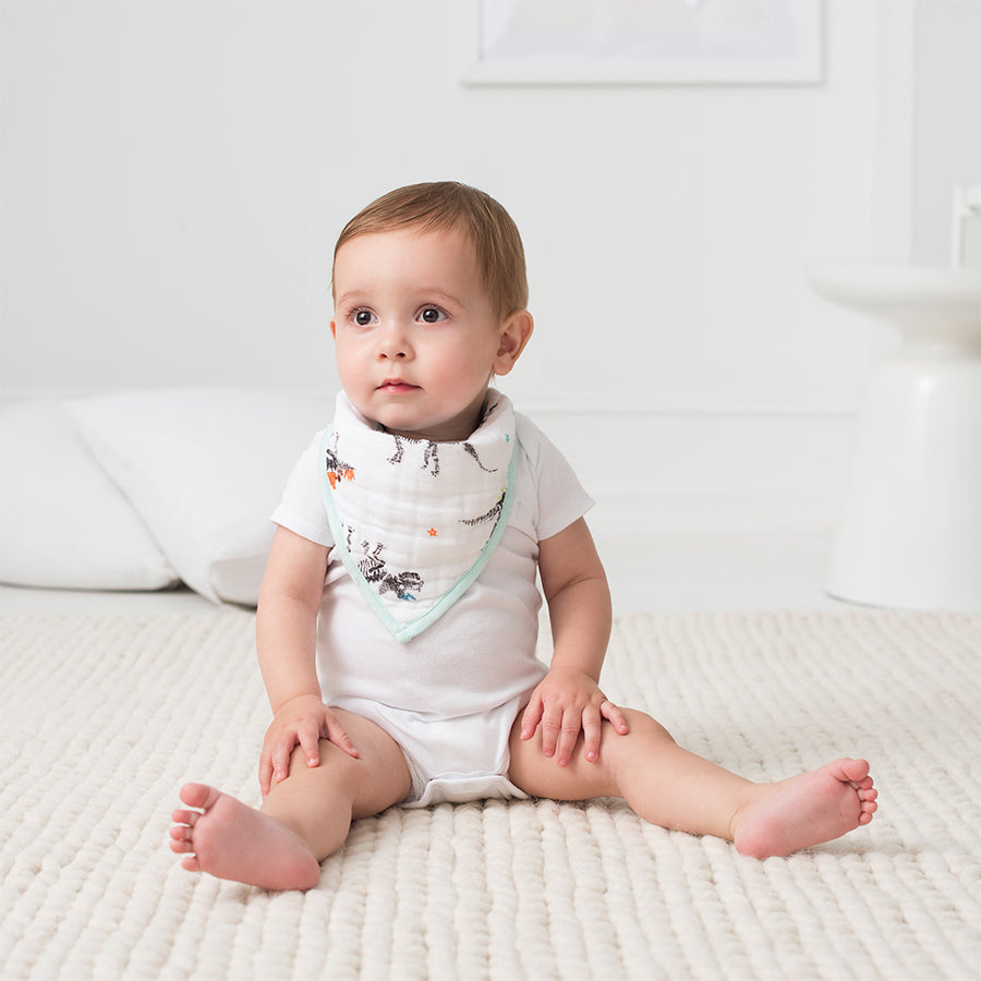 Aden and anais bandana bibs 2025