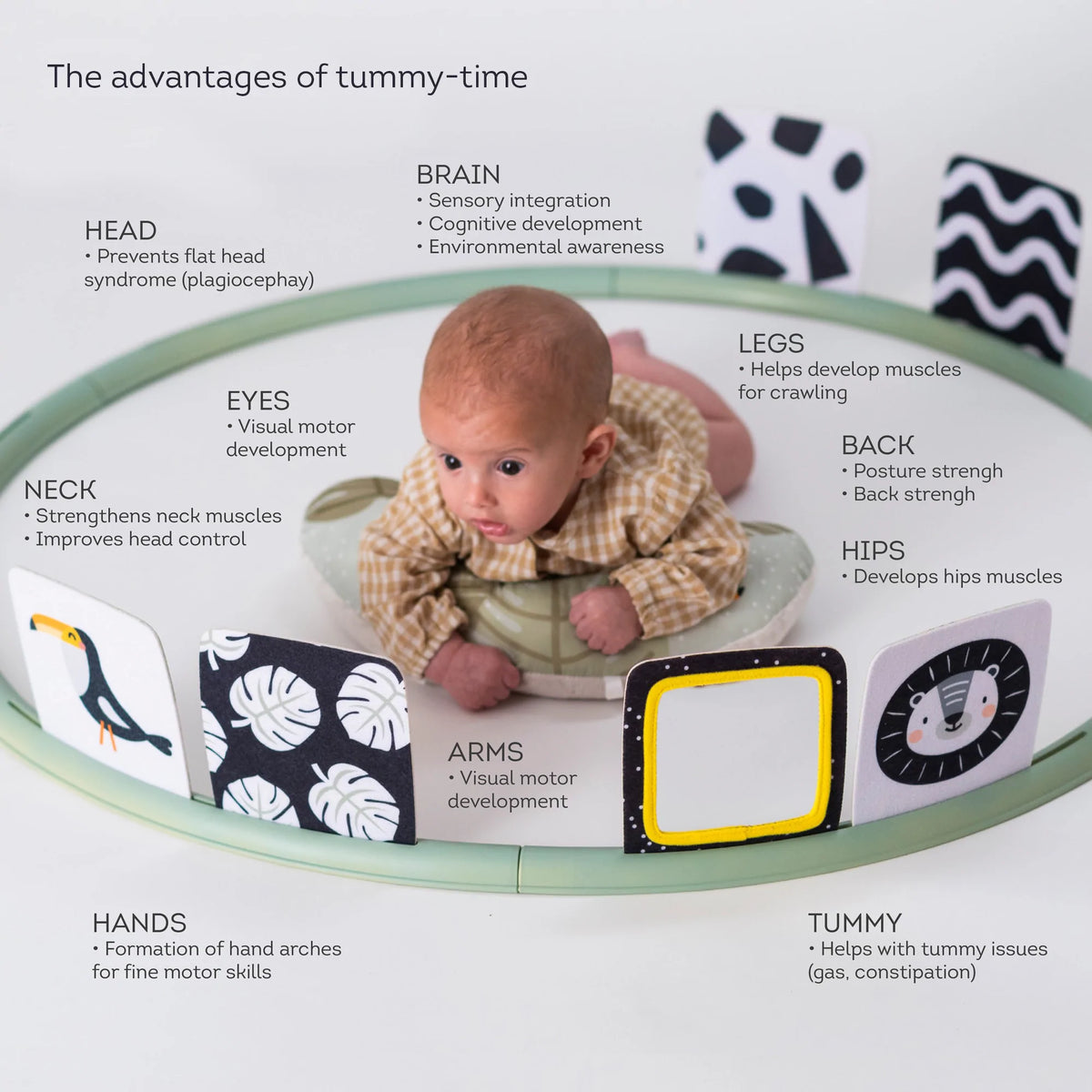 TAF Toys Tummy Time Trainer Baby Junction TAF Toys Tummy Time Trainer Baby Junction