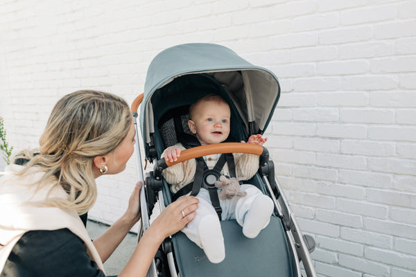 Uppababy Vista V3 with Bassinet