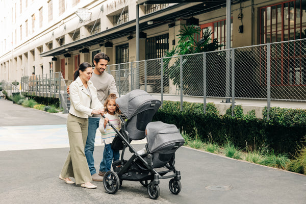 Uppababy Vista V3 with Bassinet