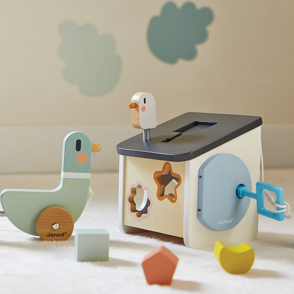 Janod Cocoon Bird House Shape Sorter