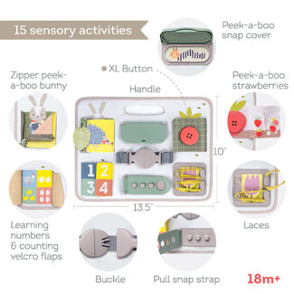 TAF Toys  Activity Buckles Board