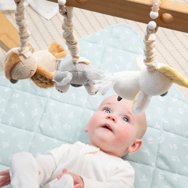 Living Textiles 2pk Stroller Toy - Koala & Cockatoo
