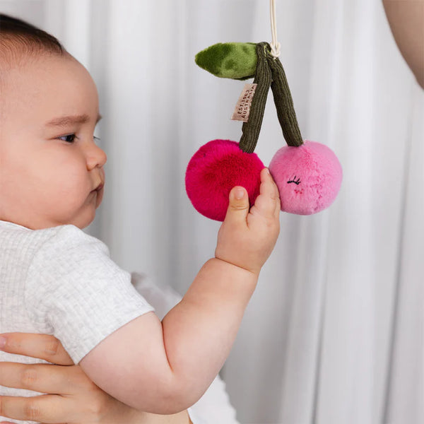 Living Textiles Mini Market 2pk Stroller Toy - Pineapple & Cherries