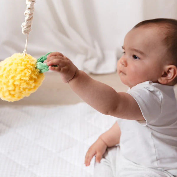 Living Textiles Mini Market 2pk Stroller Toy - Pineapple & Cherries
