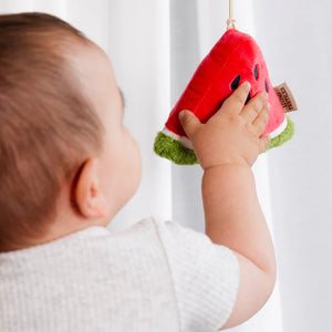 Living Textiles Mini Market 2pk Stroller Toy - Watermelon & Blueberry