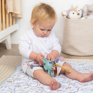 Playground Pull String Interactive Toy - Dusty