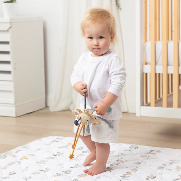 Playground Pull String Interactive Toy - Jimmy