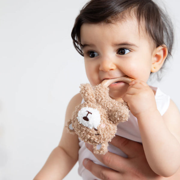 Living Textiles Teething Ring & Dummy Chain Gift Set - Cuddly Bear
