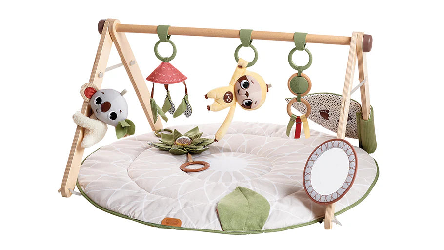 Tiny Love Boho Chic Luxe Gymini