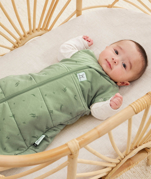 ErgoPouch Cocoon Swaddle Bag 2.5 Tog - Willow