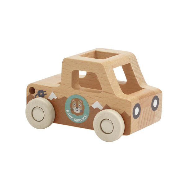 Moover Mini Cars - Park Service