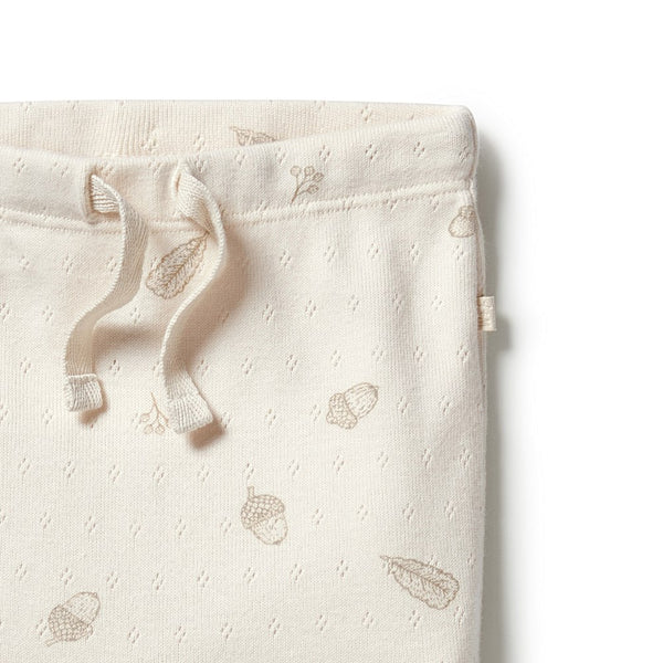 Wilson & Frenchy Organic Pointelle Legging with Feet - Little Acorn