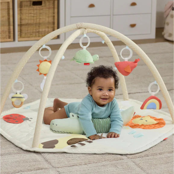 Skip Hop Geometric Wonders Activity Gym