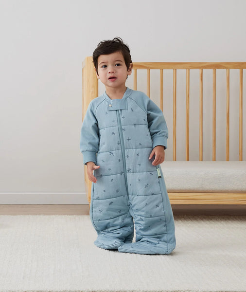 ErgoPouch Sleep Suit Bag 3.5 Tog - Dragonflies