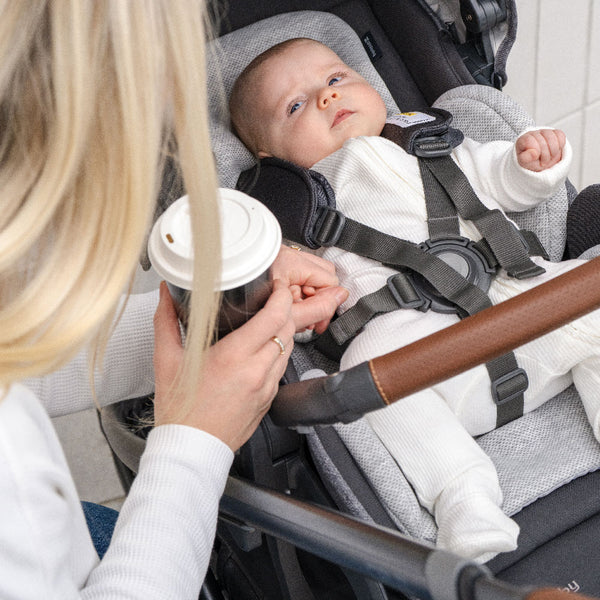 Uppababy Cruz V3