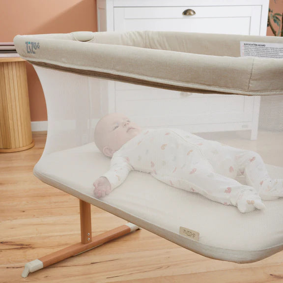 Il Tutto Zizee Bassinet - Scandi Walnut & Ecru