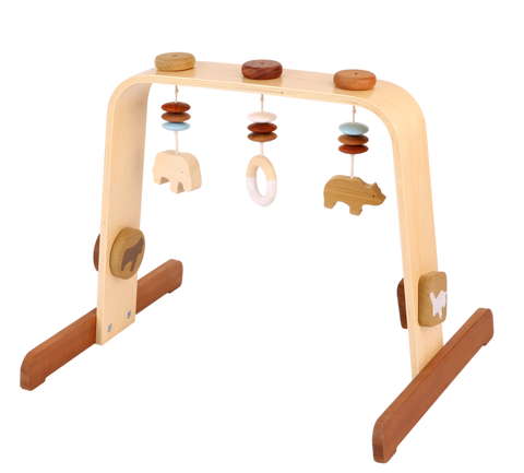 Discoveroo Baby Play Gym - Natural Wood