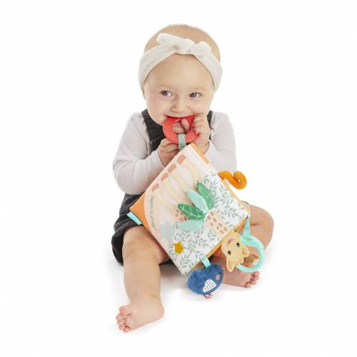 Sophie the Giraffe Discovery Book