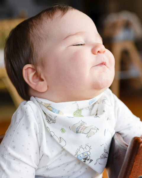 The Little Linen Co Baby Bibs - Barklife Dog