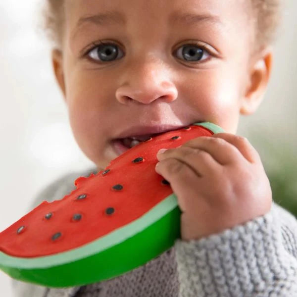 Oli&Carol Wally the Watermelon