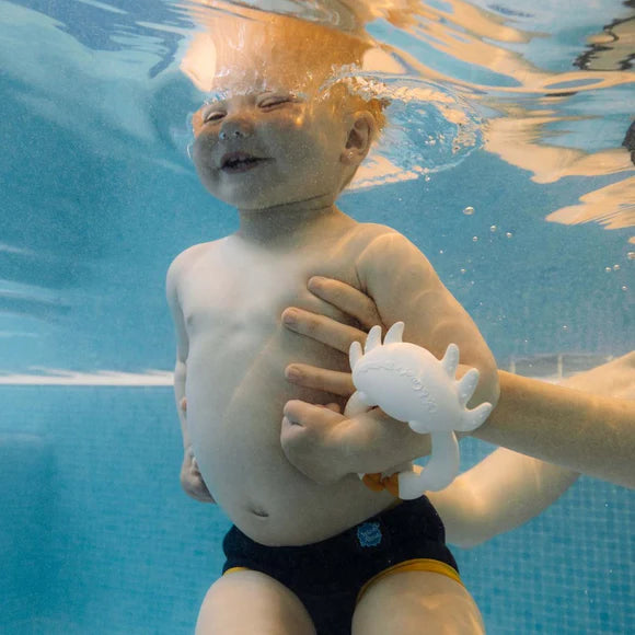 Oli & Carol x Big Stuffed - Sharon the Crab