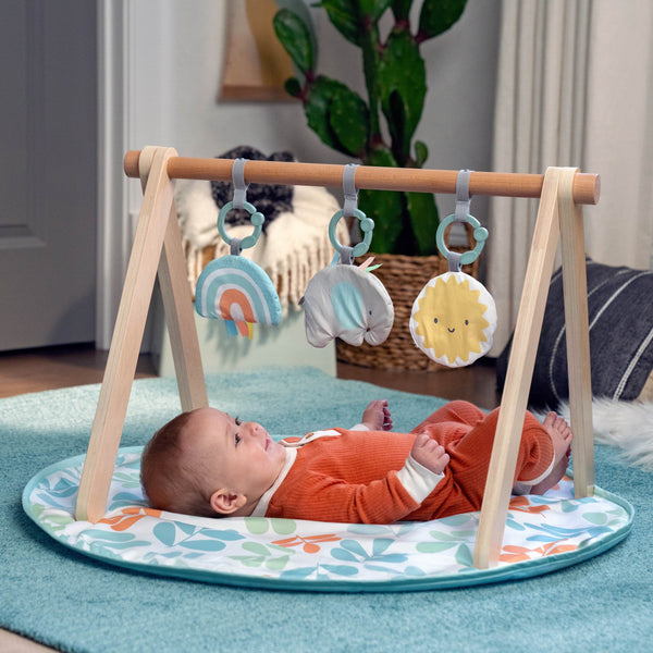 Ingenuity Sun Valley™ Wooden Toy Arch & Baby Play Mat