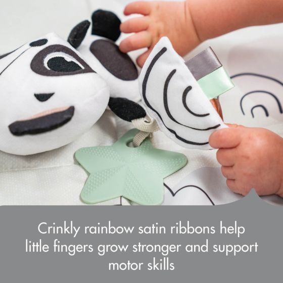 Tiny Love Black & White Décor Panda Take Along Rattle Toy