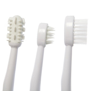 Dreambaby Toothbrush Set 3 Stage