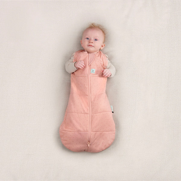 ErgoPouch Cocoon Swaddle Bag 2.5 Tog - Berries