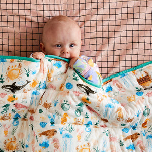 Kip & Co Check 1,2 Cotton Fitted Sheet - Cot