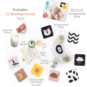 TAF Toys Newborn Develop & Play Kit