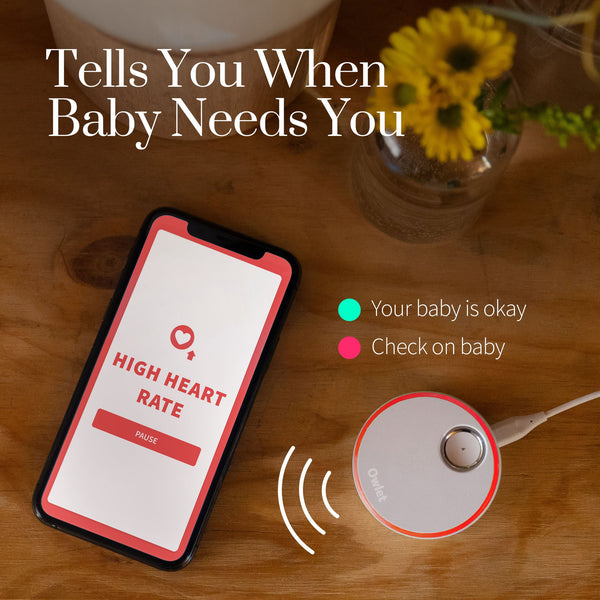 Owlet Smart Sock 3 Baby Monitor - Dusty Rose