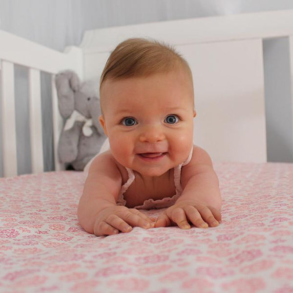 Little Turtle Baby Standard Cot Sheet