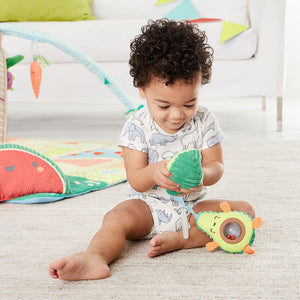 Skip Hop Farm Stand Avocado Stroller Toy