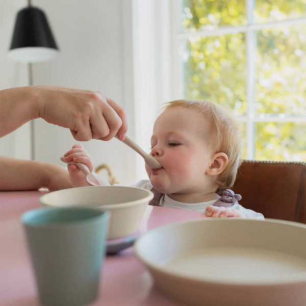 BIBS Spoon Set