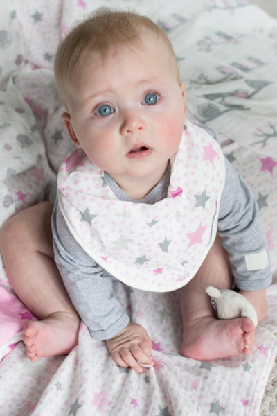 Little Bamboo Muslin Bandana Bib 2pk - Dusty Pink