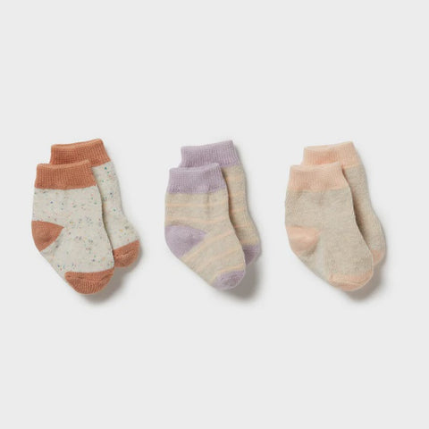 Wilson & Frenchy Organic 3 Pack Baby Socks - Cream Tan / Lilac Ash / Cameo Rose