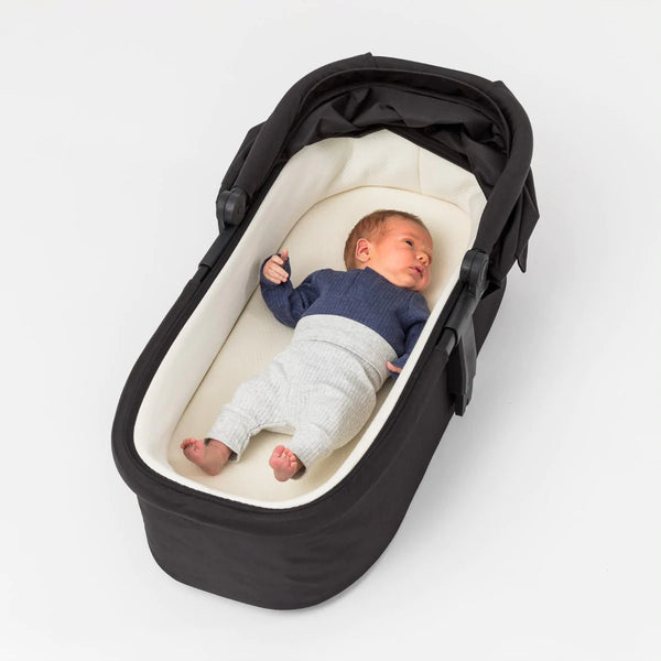 Edwards & Co Carrycot 2