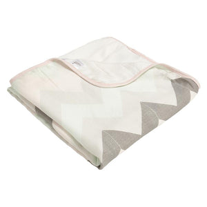 aden by Aden + Anais Silky Soft Stroller Blanket